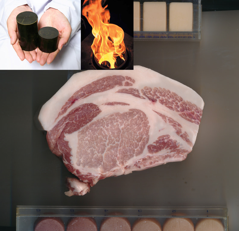 夏の近大特別企画！バイオコークスde 霜降り豚玉