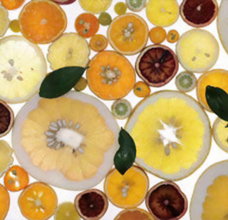 附属農場直送！ 近大フルーツを味わおう！