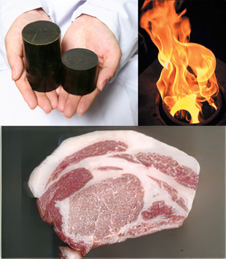 特別企画！バイオコークスde 熊野ポーク焼きそば
